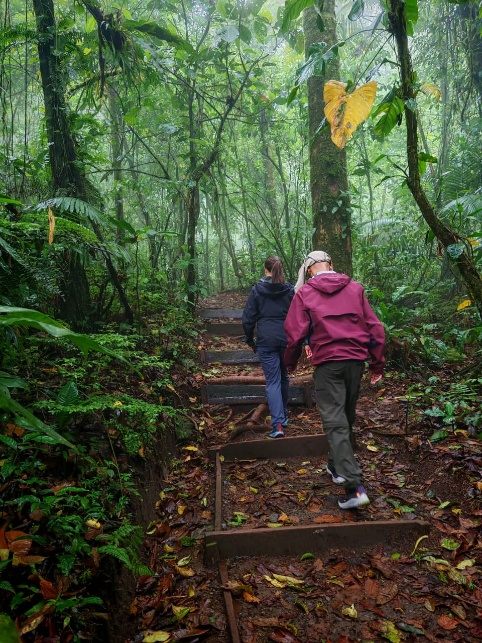 Cloud-forest trails near La Fortuna