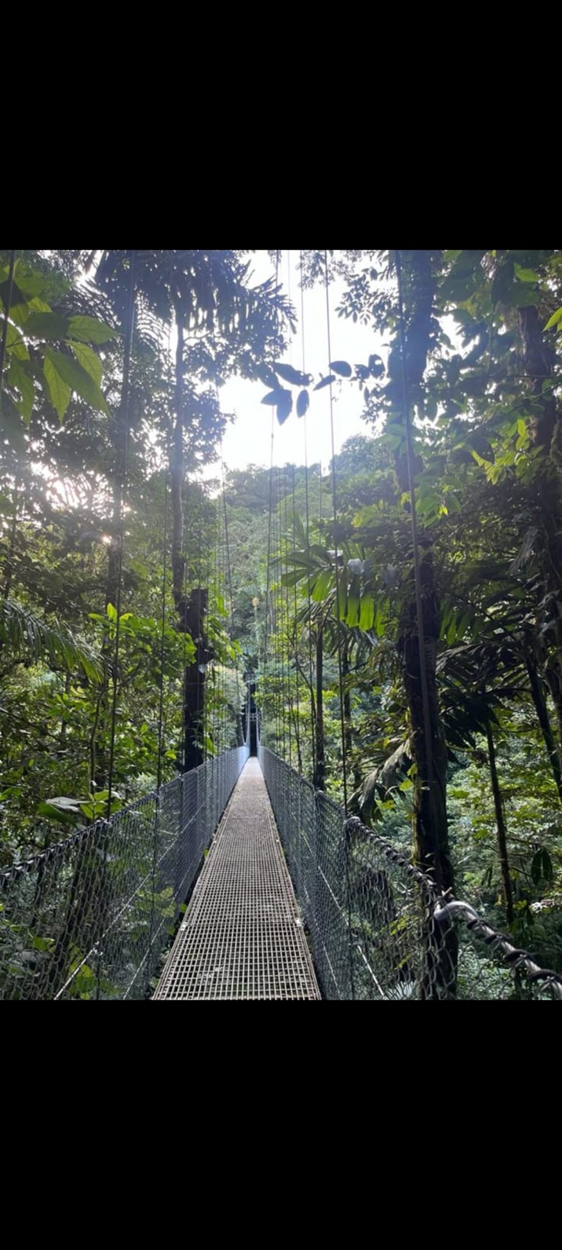 Hanging bridge through the Arenal rainforest